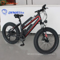 High performance powerful double lithium battery fat tire electric bicycle